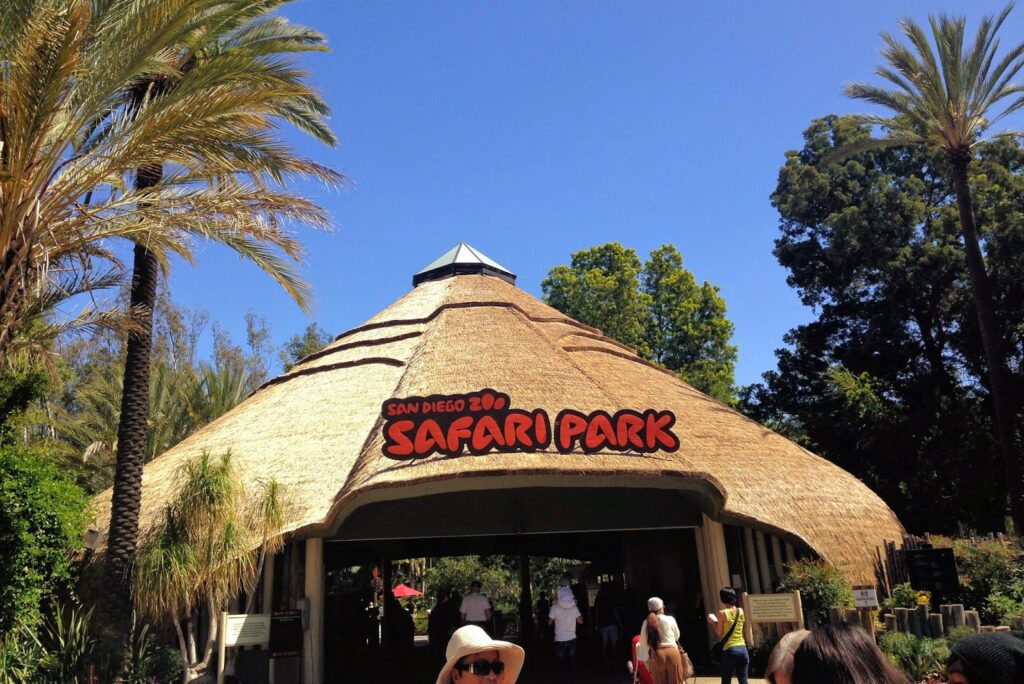 Sandiego Zoo, California, USA